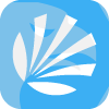  LuLu Forex