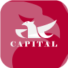 CAPITAL CSC FUTURES