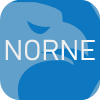 NORNE SECURITIES