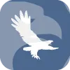 AMYN INVESTMENTS, INC.(California (United States))