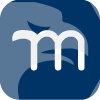 Momentum