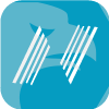 AVIOR CAPITAL MARKETS (PTY) LTD