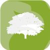 Olive Financial Markets Pty Ltd