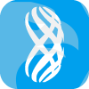 Viverno Markets Ltd