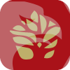 BOA International Securities Limited