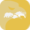 FX Gold