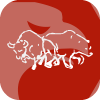 City Capital Markets Ltd