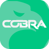 CobraCFD