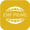 EMF GROUP LLC(New York (United States))
