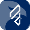 IFDC CAPITAL MANAGEMENT LLC