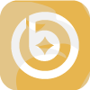 BOOSTER FINANCIAL SERVICES LIMITED