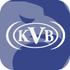 KVB Kunlun Securities (HK) Limited