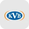 KVB Capital Markets Limited(Hong Kong)