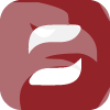 SOLID GLOBAL INVESTMENT LIMITED