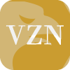 VZN FOREX