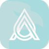 Arca Capital