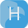 Hudson Global Capital