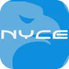NYCE SECURITIES & DERIVATIVES LIMITED(India)