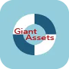 GIANT ASSETS LIMITED
