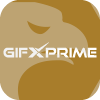 GIFX PRIME