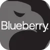 Blueberry Markets
