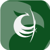 Phoenix Capital Securities Limited