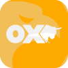 OX CAPITAL MARKETS LTD pobočka