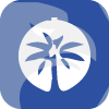 Palm Global Capital Ltd