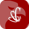 CURRENCY CAPITAL MANAGEMENT LLC
