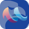 MACKAY FOREX CAPITAL PTY LTD