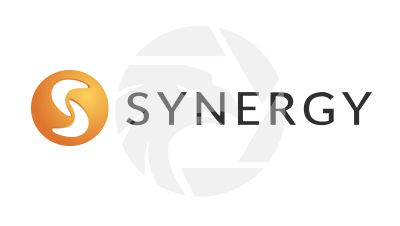 synergyfx興集