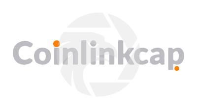  Coinlink Capital