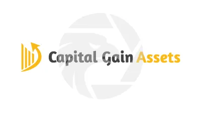 Capital Gain Assets