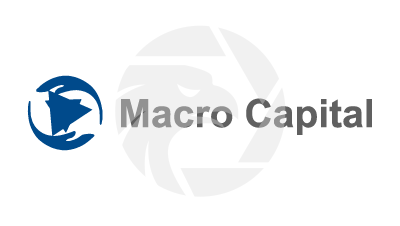 Macro Capital Group Ltd