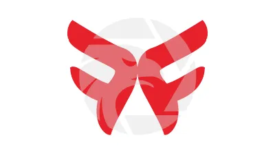 FLASH PARTNERS FX