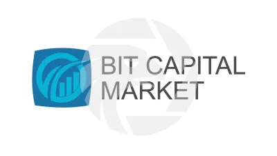 Bitcapitalmarket
