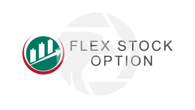 Flex Stock Option