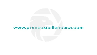 www.primeexcellencesa.com