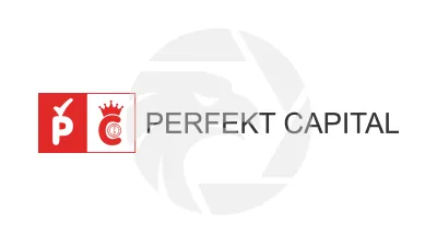 Perfekt Capital