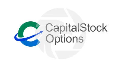 CapitalStockOptions