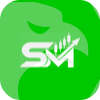 SM Forex