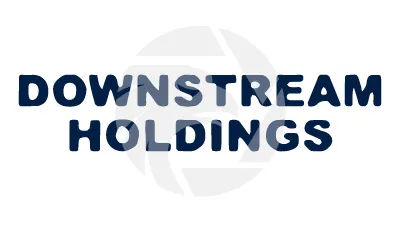 DOWNSTREAM HOLDINGS