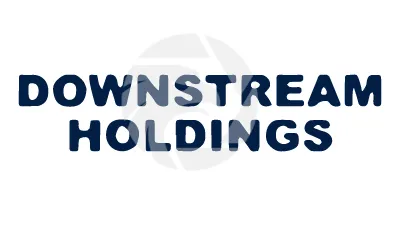 DOWNSTREAM HOLDINGS