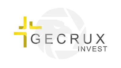 GECRUX INVEST