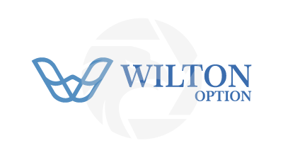 Wilton Option