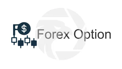 Forex Option