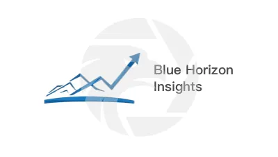 Blue Horizon Insights