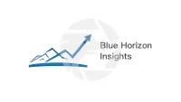 Blue Horizon Insights