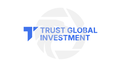 TRUST GLOBAL INVESTMENT