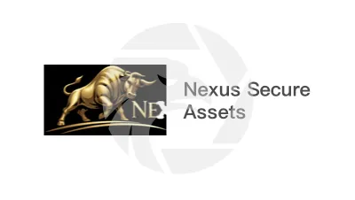 Nexus Secure Assets